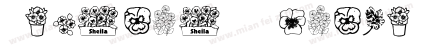 Pansies 4 Sheila字体转换